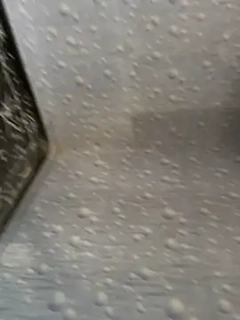 Snapshot of NoddingScorpion chatting on 11.25.25 NoddingScorpion online show from 11.25.25