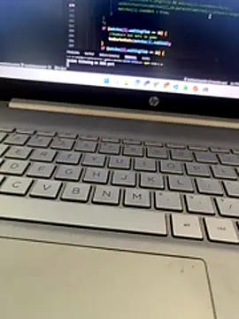 Snapshot of NoddingScorpion chatting on 11.29.25 NoddingScorpion online show from 11.29.25