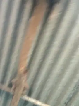 Hot-ilaiy online show from 09.09.25