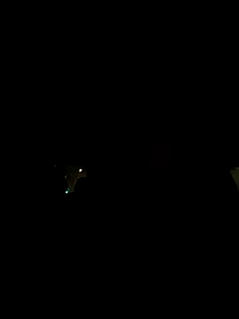 Snapshot of XanderOzzz chatting on 11.03.25 XanderOzzz online show from 11.03.25