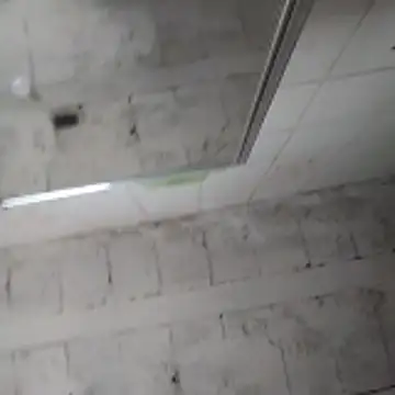 Snapshot of rodrigohuge chatting on 11.26.25 rodrigohuge online show from 11.26.25