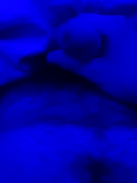 Derfick200 online show from 12.02.25