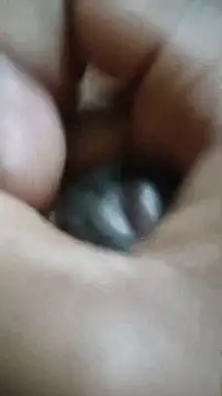 Snapshot of Vizgeboys chatting on 12.02.25 Vizgeboys online show from 12.02.25