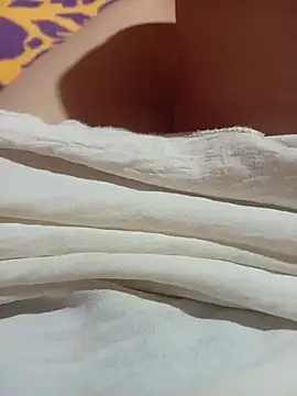 NoHA 66 online show from 11.02.25