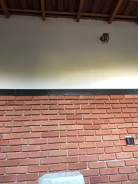 Dunot   online show from 12.21.25