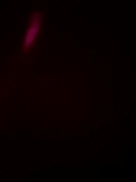 Snapshot of Size_x@xh chatting on 01.16.26 Size xxh online show from 01.16.26