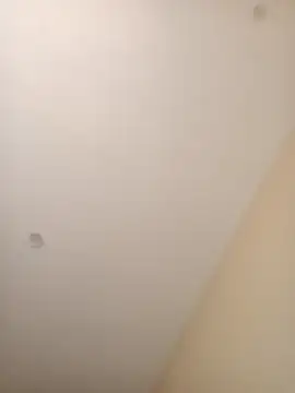 ElBufalo4l online show from 11.04.25