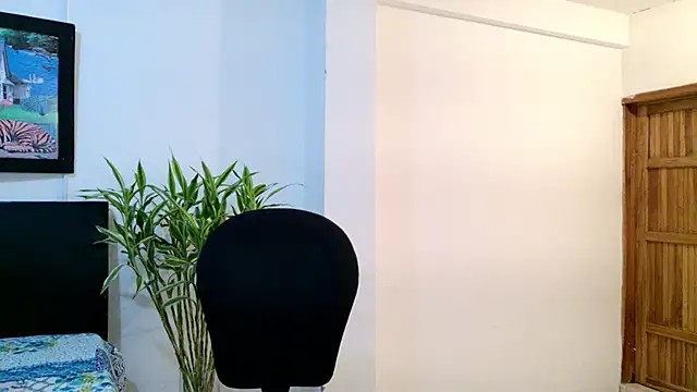 Allhondra online show from 11.14.25