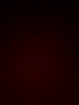 Snapshot of Laxmixx2 chatting on 10.15.25 Laxmixx2 online show from 10.15.25