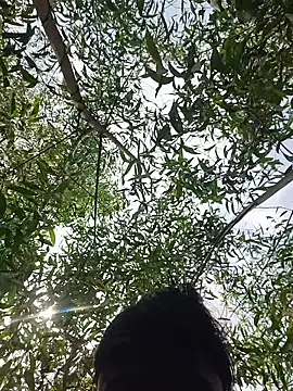 96Rohon online show from 03.21.26