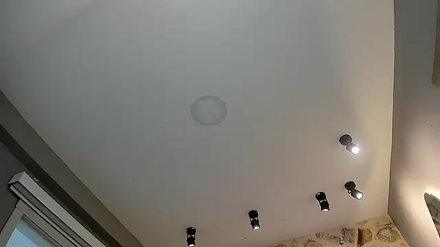 VenusBlazer online show from 02.14.26