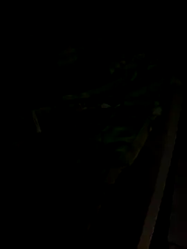 Snapshot of sr_dias chatting on 11.13.25 sr dias online show from 11.13.25