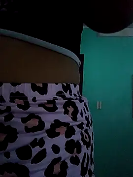 Snapshot of Dalan0213 chatting on 03.12.26 Dalan0213 online show from 03.12.26