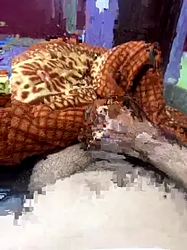 Rupkumarmaleforfun online show from 12.18.25