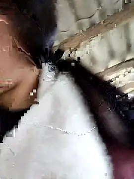 Sinejdk3 online show from 02.16.26