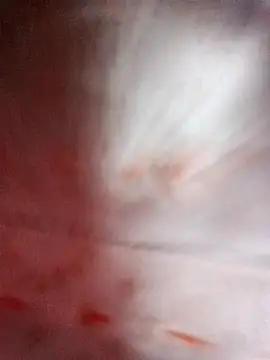 Pinki thakur 1 online show from 09.11.25