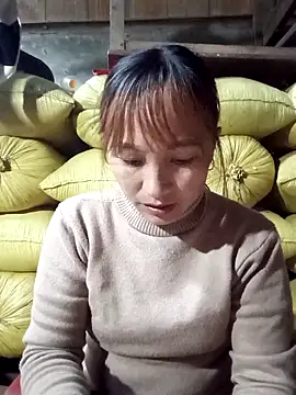 Mini3333 online show from 04.29.26