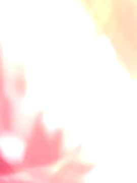 Dikchahot online show from 12.17.25