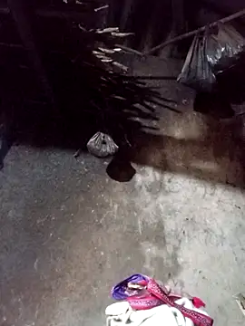  Helala  online show from 11.21.25