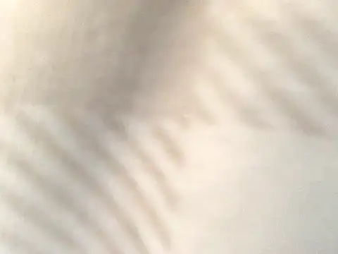 Snapshot of Tishrella6 chatting on 09.11.25 Tishrella6 online show from 09.11.25