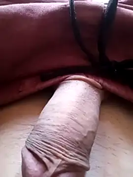 Snapshot of bemmagrinho36 chatting on 02.06.26 bemmagrinho36 online show from 02.06.26