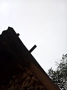 Ngocmi909 online show from 01.16.26