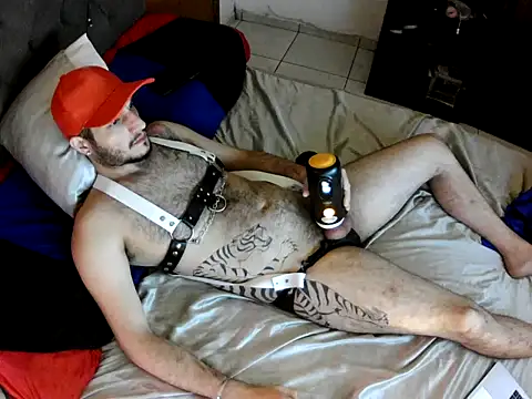 Dolfinhorb online show from 05.04.26