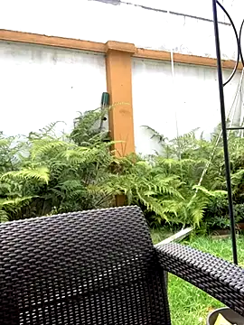 Snapshot of Jasmin_Pink chatting on 09.25.25 Jasmin Pink online show from 09.25.25