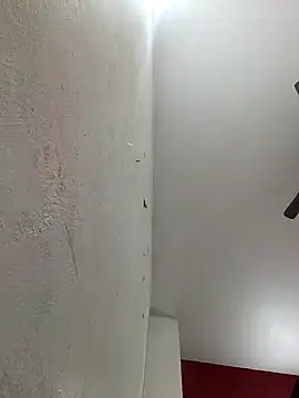 Appypie online show from 02.03.26