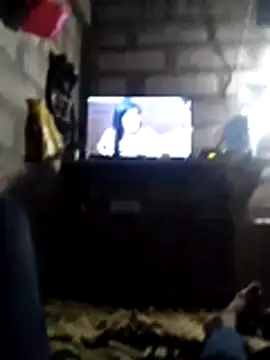 premdas77 online show from 03.31.26