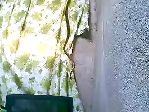 Snapshot of Sweeetgurll chatting on 11.05.25 Sweeetgurll online show from 11.05.25