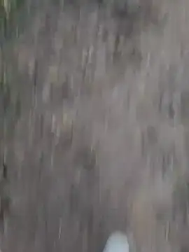 Snapshot of Sonia66w chatting on 10.01.25 Sonia66w online show from 10.01.25