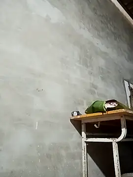 Milan6789 online show from 03.13.26