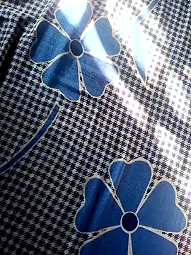 Snapshot of Renuka_GG chatting on 11.04.25 Renuka GG online show from 11.04.25