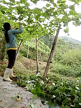 Snapshot of ngan-cute chatting on 05.13.26 ngan-cute online show from 05.13.26