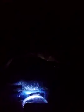 gostoso delas 2 online show from 09.17.25