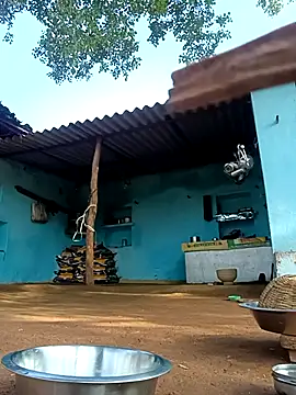 Hot-honi online show from 11.02.25