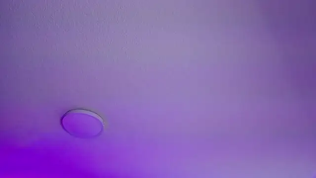  Charlotte Collins  online show from 02.21.26