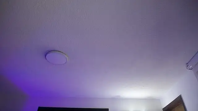 Charlotte Collins  online show from 04.29.26