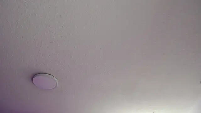  Charlotte Collins  online show from 05.08.26