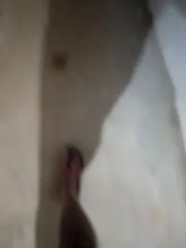 Snapshot of sexy__girls98 chatting on 11.27.25 sexy girls98 online show from 11.27.25