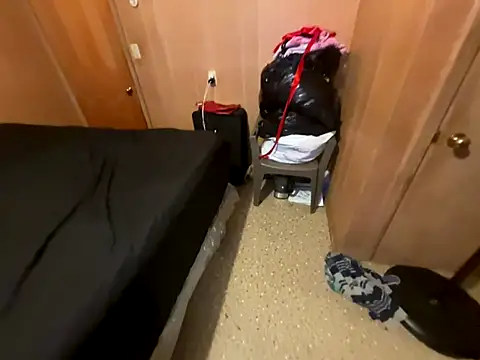 Snapshot of saltlightEmber chatting on 12.14.25 saltlightEmber online show from 12.14.25