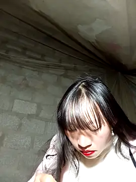 tcm-cute online show from 11.25.25