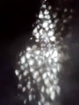 Snapshot of Perropa chatting on 01.18.26 Perropa online show from 01.18.26