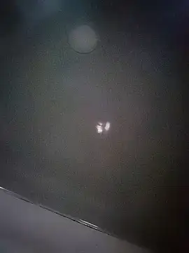 Perropa online show from 03.08.26