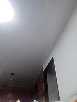 Perropa online show from 03.14.26