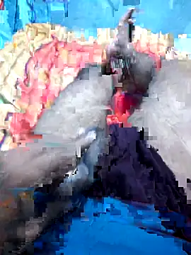 Snapshot of Hyd-bad-boy-25 chatting on 09.27.25 Hyd-bad-boy-25 online show from 09.27.25