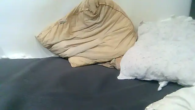 hotbbboyyy online show from 02.06.26