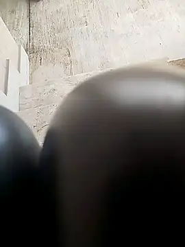 TaraWild online show from 02.04.26