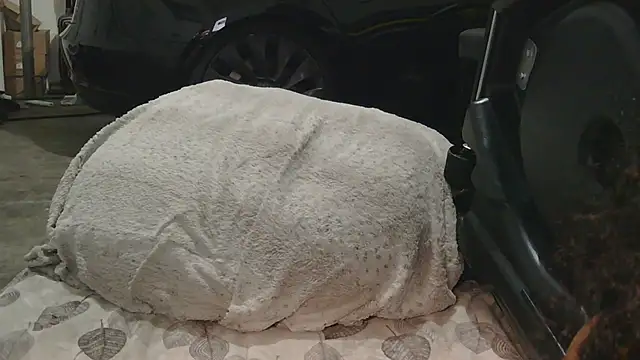 Gmajor online show from 12.15.25